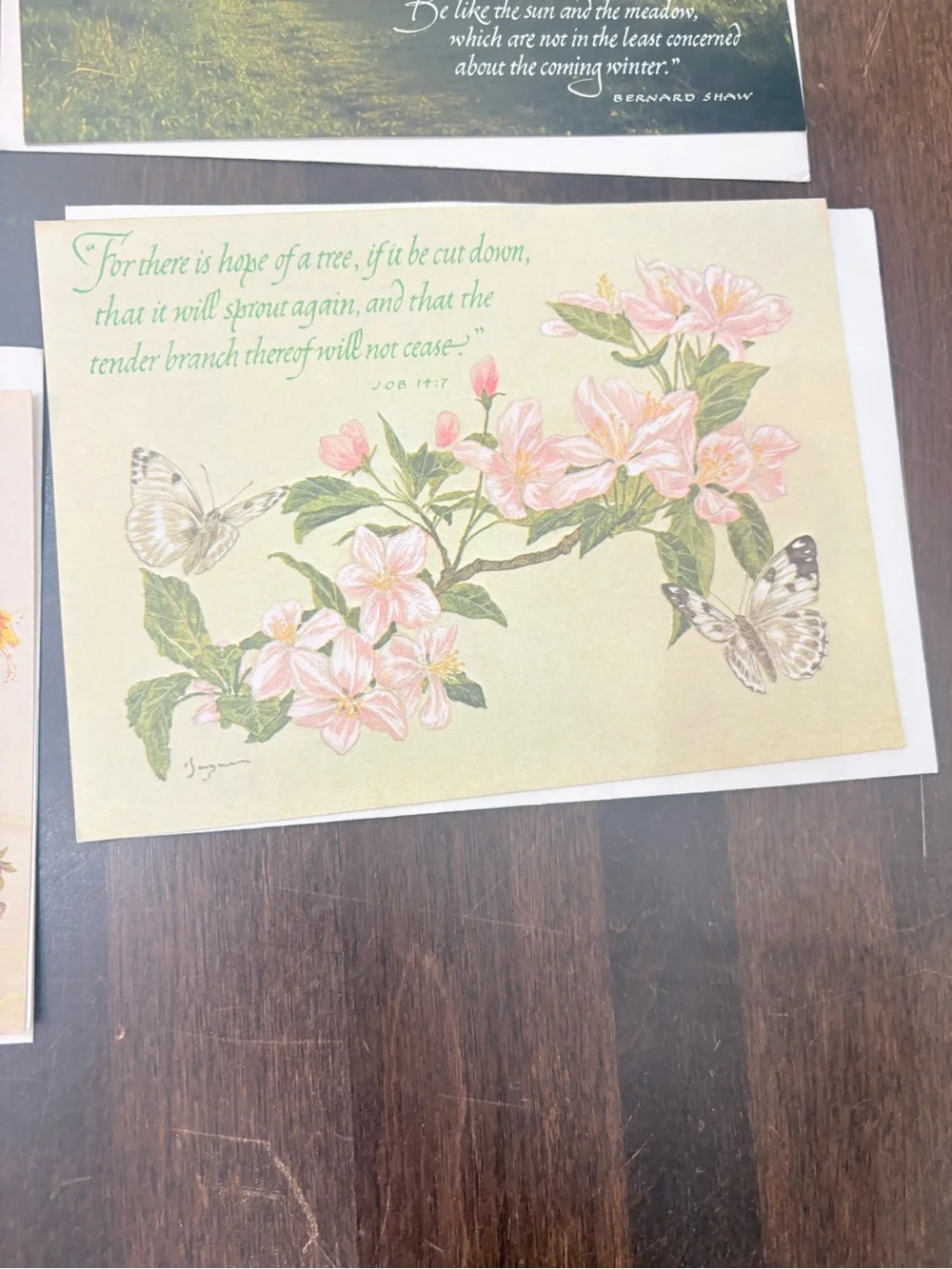 10 Assorted Current Floral, strawberry & Animal Blank Cards